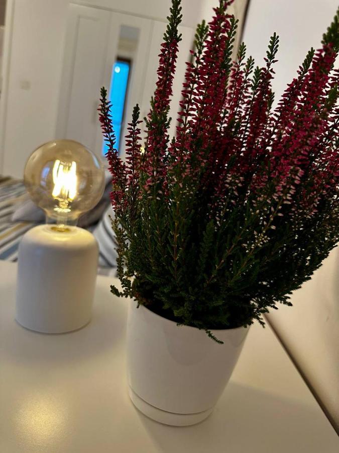 Apartament Centrum, Miejsce Parkingowe W Cenie Warschau Buitenkant foto